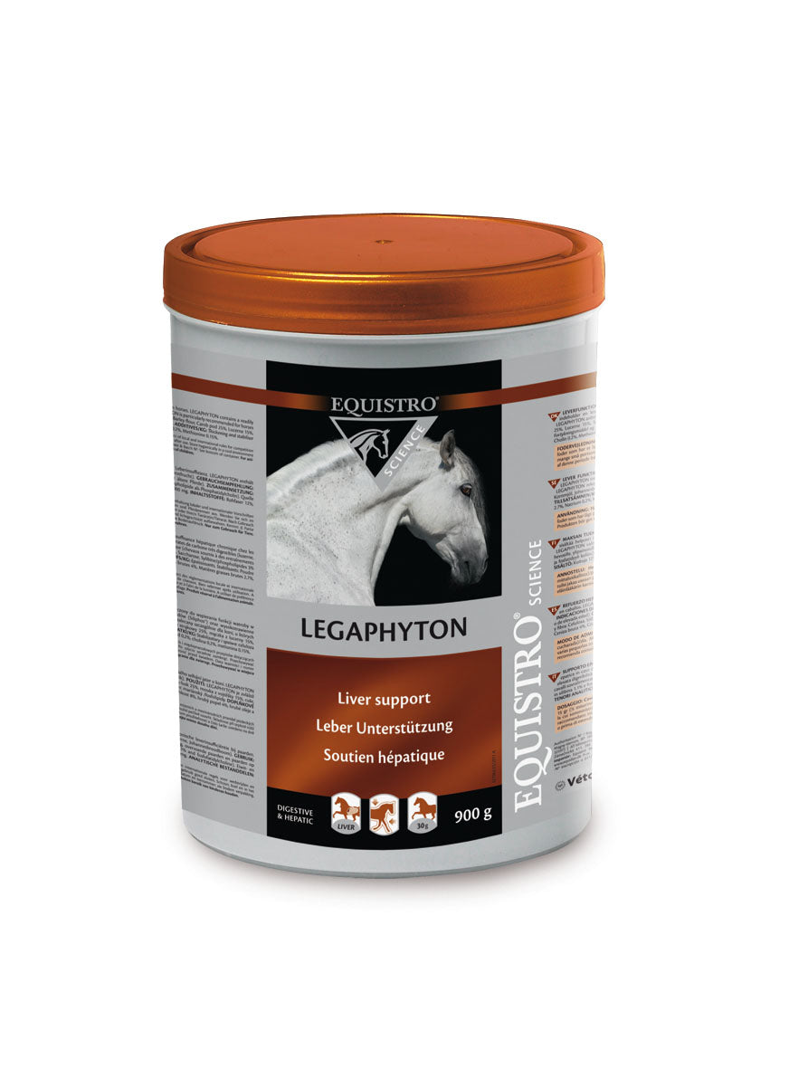 PRICES LATT CHOC LOG 2 WICK6PZ