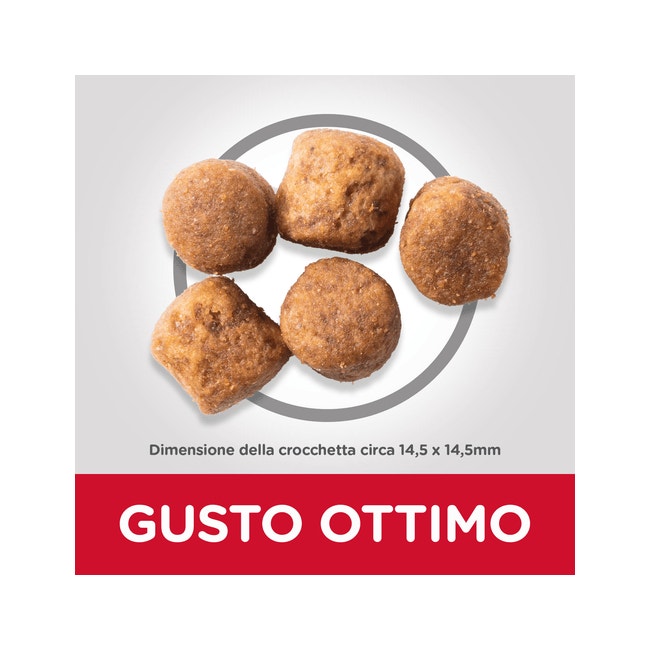 Hill's Science Plan Healthy Mobility Crocchette Pollo Per Cani Adulti Taglia Large Sacco 12kg