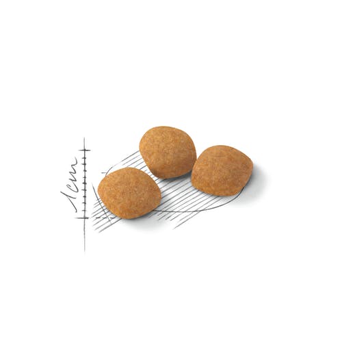 Royal Canin Feline Preference Protein Exigent Crocchette Per Gatti Sacco 2kg