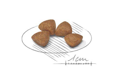 Plasmon Sapori di Natura Purée de poire 4x100g