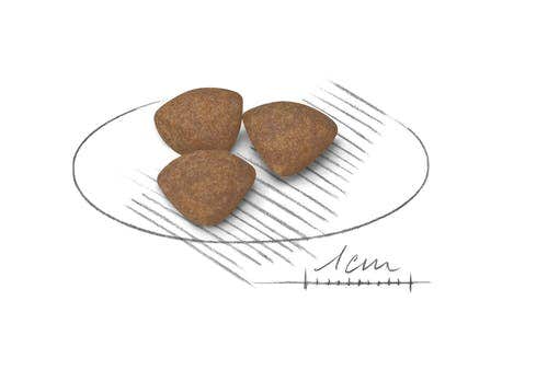 Royal Canin Crocchette Per Cuccioli Taglia Mini Sacco 2kg
