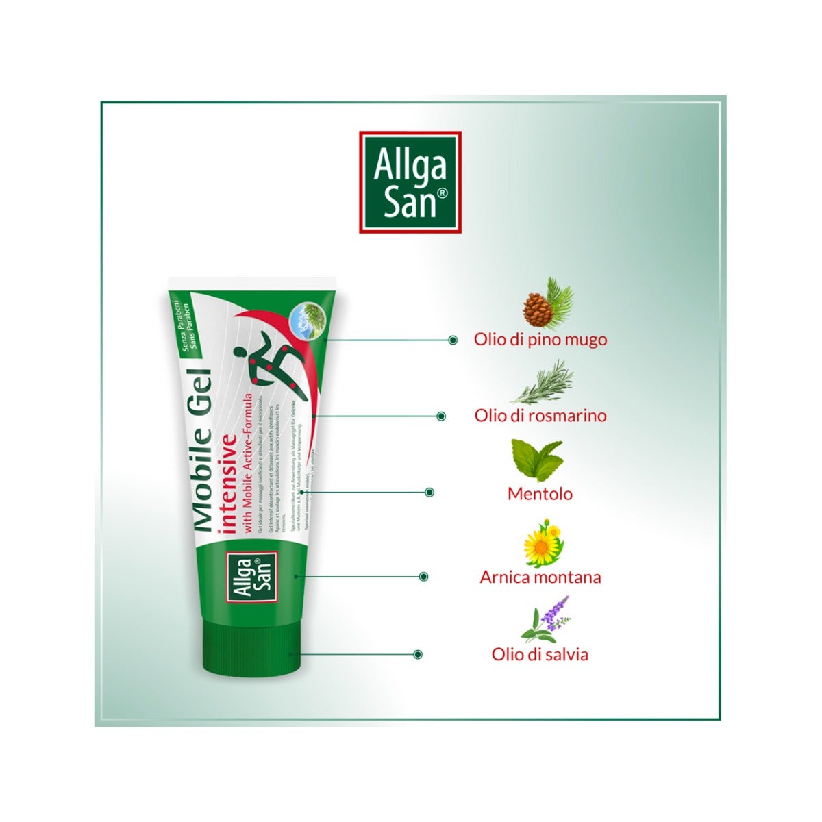 Hipp Bio Purée de fruits mélangés 6x80g