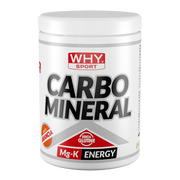 MARRONNIER D'INDE FLORI NUTRIVA