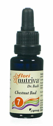 CHESTNUT BUD FLORI NUTRIVA