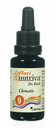 CLEMATIS FLORI NUTRIVA