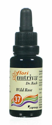 WILD ROSE FLORI NUTRIVA
