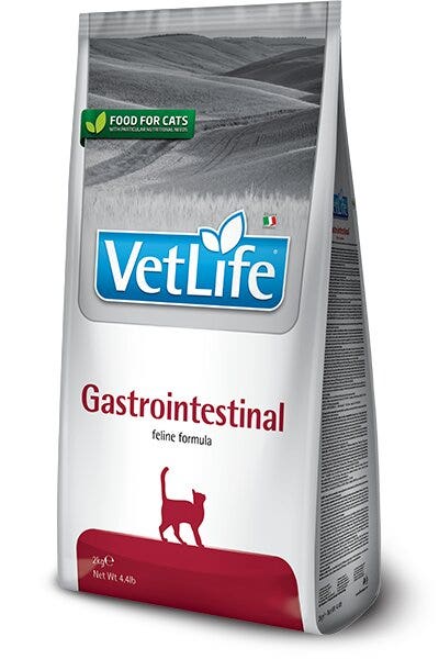 Tewua Shampooing sec sans gaz pour chats 500 ml