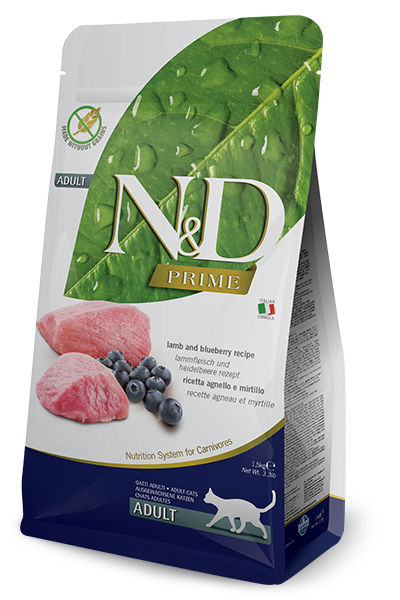 CRÈME DE GRAINES DE COURGE 100 % BIO 200 g