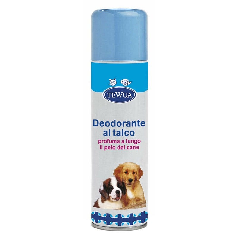 Almo Nature HFC Natural Saveur Poulet & Saumon Nourriture humide pour chats adultes Sachet 55 g