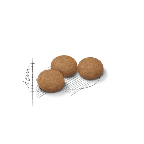 GERME DE RIZ CRÈME POUR LE CORPS 200ML