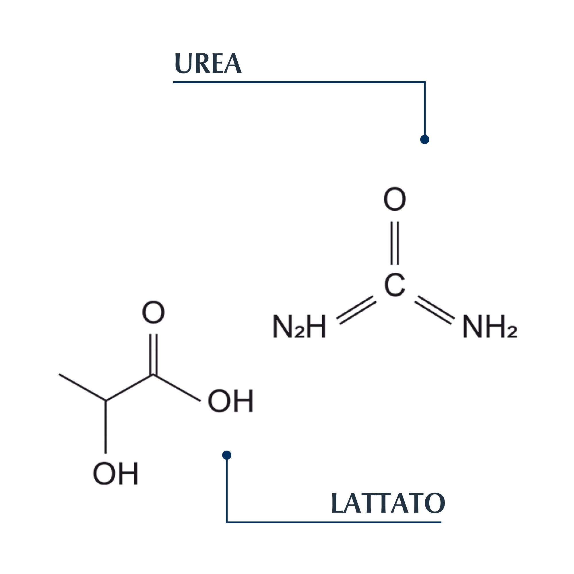 Silcaflex pour la fonction articulaire 100 comprimés
