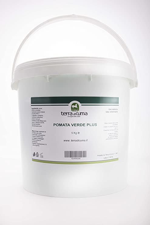 CORDYCEPS 100 gélules