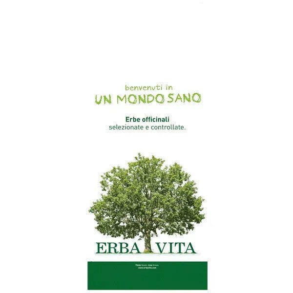 Erba Vita Licopodio Taglio Tisana Pianta 100g