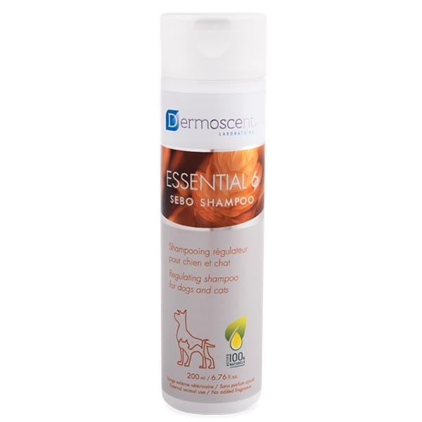 Korff Gloss crémeux n° 09