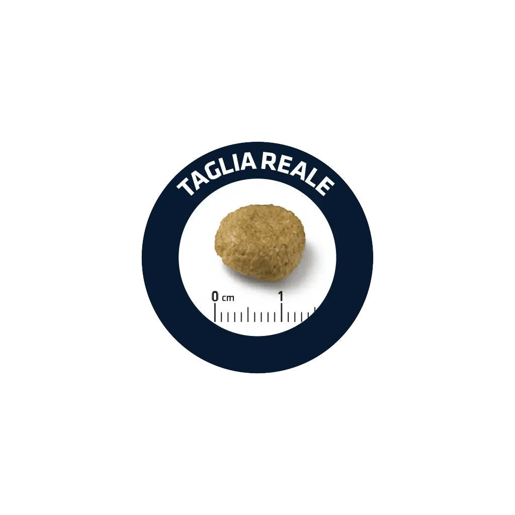 Puressentiel Huile essentielle d'ylang-ylang bio 5 ml