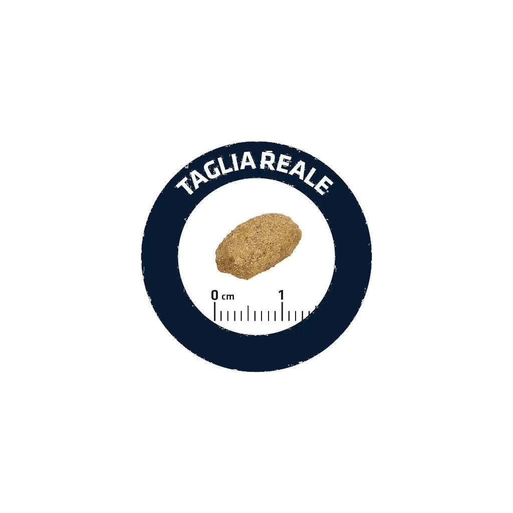 Isola Bio Lait d'amande sans sucre 1 litre