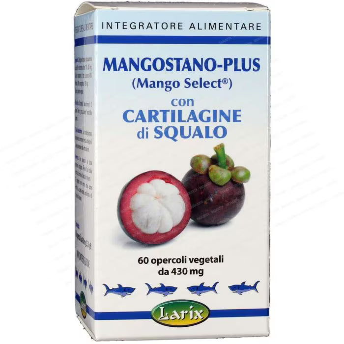 GINGEMBRE CONFIT BIO