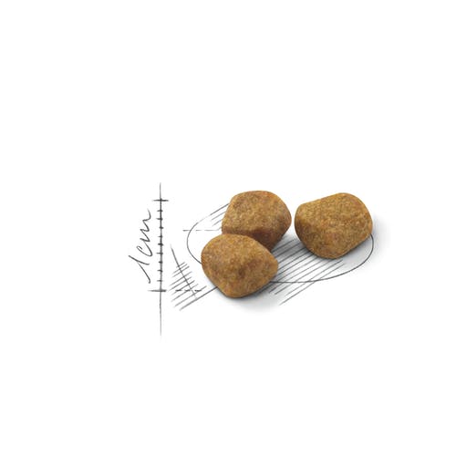 Candinet Plus 6 ovules vaginaux de 2 g