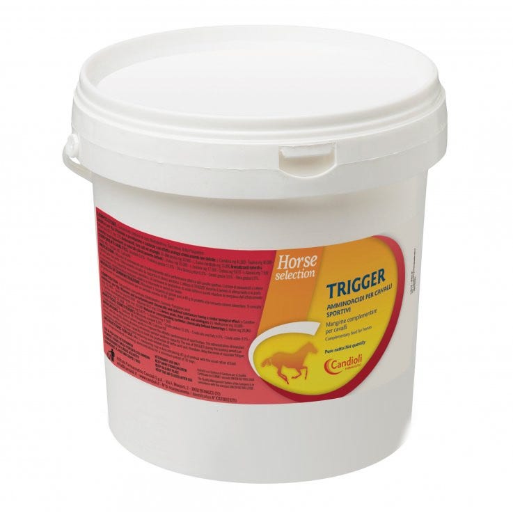 PINZECCA ULTRA DR SCHICK