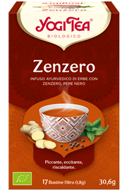 ERGOVIS SPORT 10 sachets