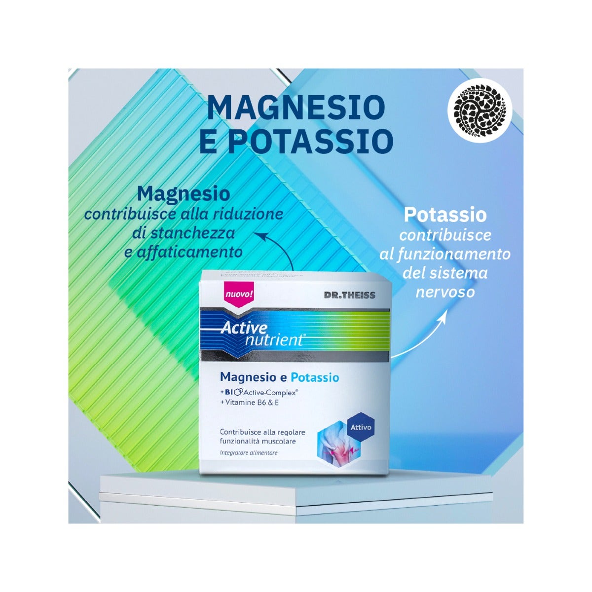 Dr Theiss Active Nutrient Magnesio/Potassio 20 Bustine