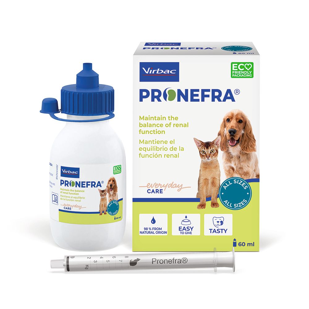 Artdinamic Plus 14 sachets de 3 g