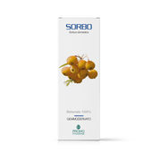 Promopharma Éleuthérocoque 50 gélules