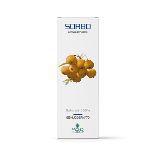 Promopharma Éleuthérocoque 50 gélules
