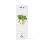 Promopharma Café Vert 50 gélules
