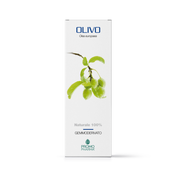 Promopharma Olivo Gemmoderivato 50ml