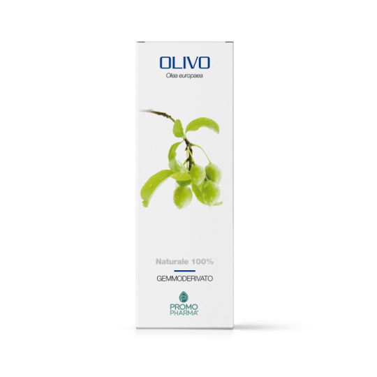 Promopharma Olivo Gemmoderivato 50ml