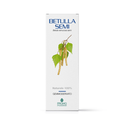 Promopharma Betulla Semi Gemmoderivato 50ml