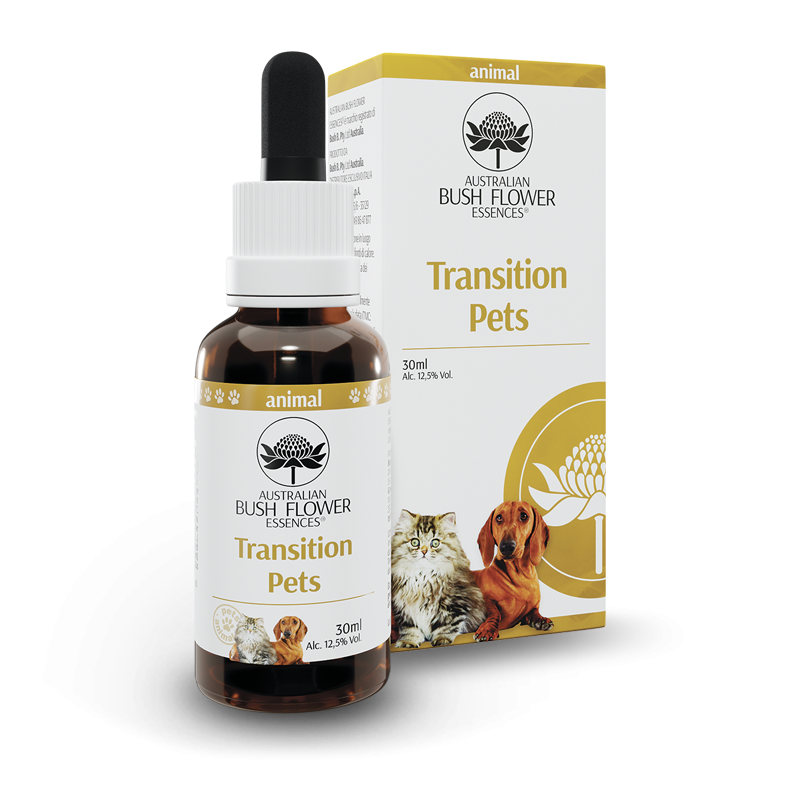 Timodore Crème déodorante 48h 50 ml
