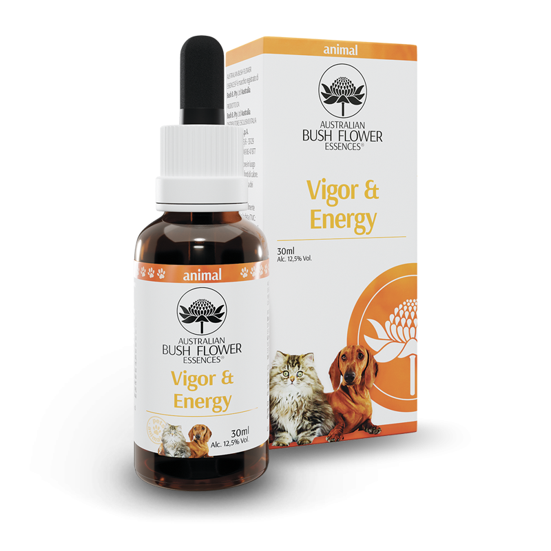 Eau Thermale Avène Physiolift Jour Crème Lissante Anti-âge Rides Profondes 30 ml