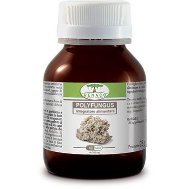 Polyfungus 60 gélules