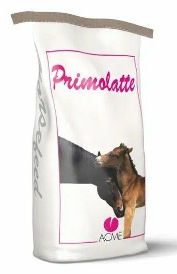 Cadicioc Biscuits au cacao 4 pièces 8 g
