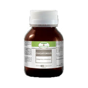 Renaco Chagafungus 60 Capsule