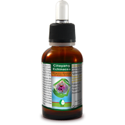 Citoyang Échinacée Gouttes 50 ml