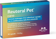 NBF Lanes Reuteral Pet pour chiens, probiotiques, 30 gélules