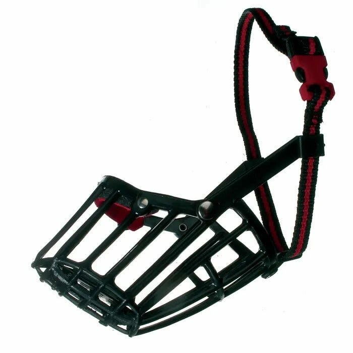 Camon Ensemble de harnais pour lapins 10 x 1200 mm
