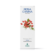 Promopharma Rosa Canina Gemmoderivato 50ml