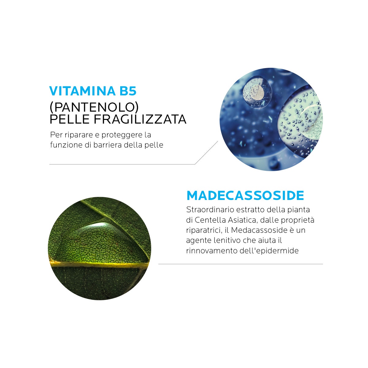 Winter Hyaluronic Crème Visage Anti-Âge 50 ml