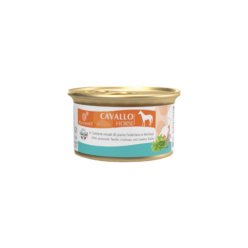 Monge Jelly Kitten Morceaux de thon bonito et d'aloès - Nourriture humide pour chatons 80 g