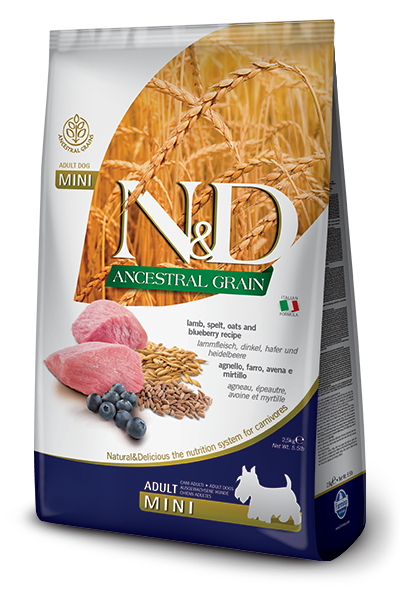 Graines de sésame noir bio 150 g