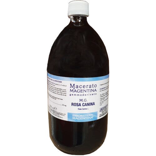 Herboristerie Magentina : extrait de bourgeons de rose musquée 1 litre