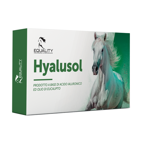 Ever Clean Fast Acting Odour Control 6 kg