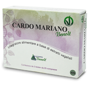 BANDEAU DE PRESSION ACUPUNCTURALE POUR ADULTES 2 PIÈCES