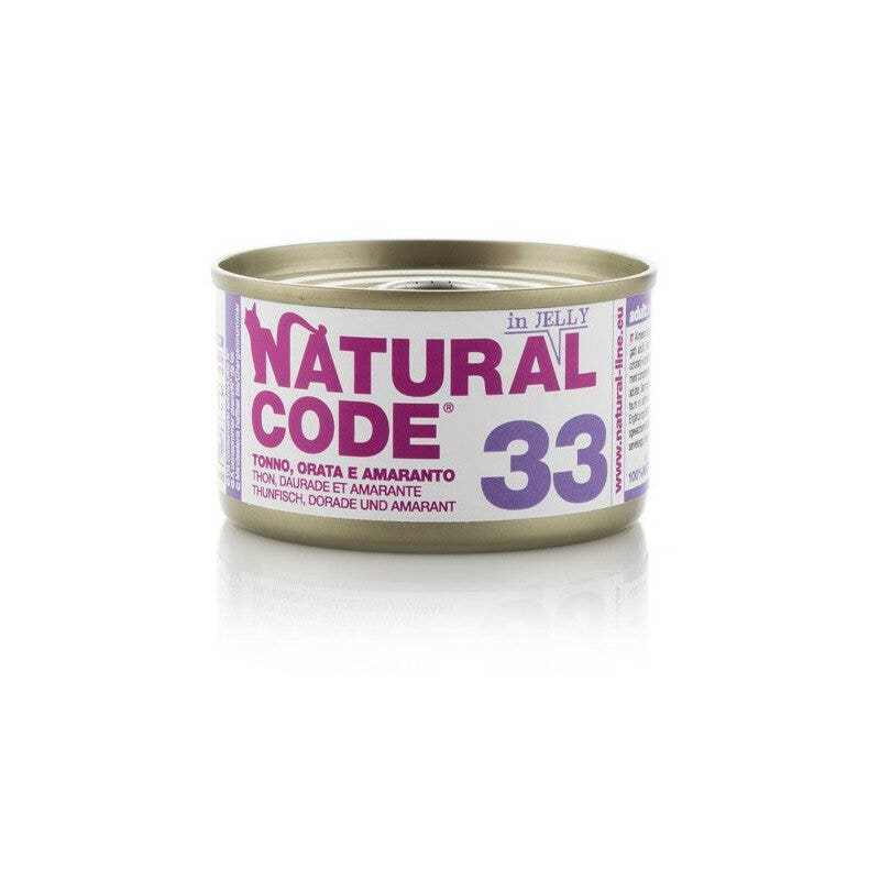 Oasy Délicieux Pâté pour Chat Adulte Riche en Saumon 100 g