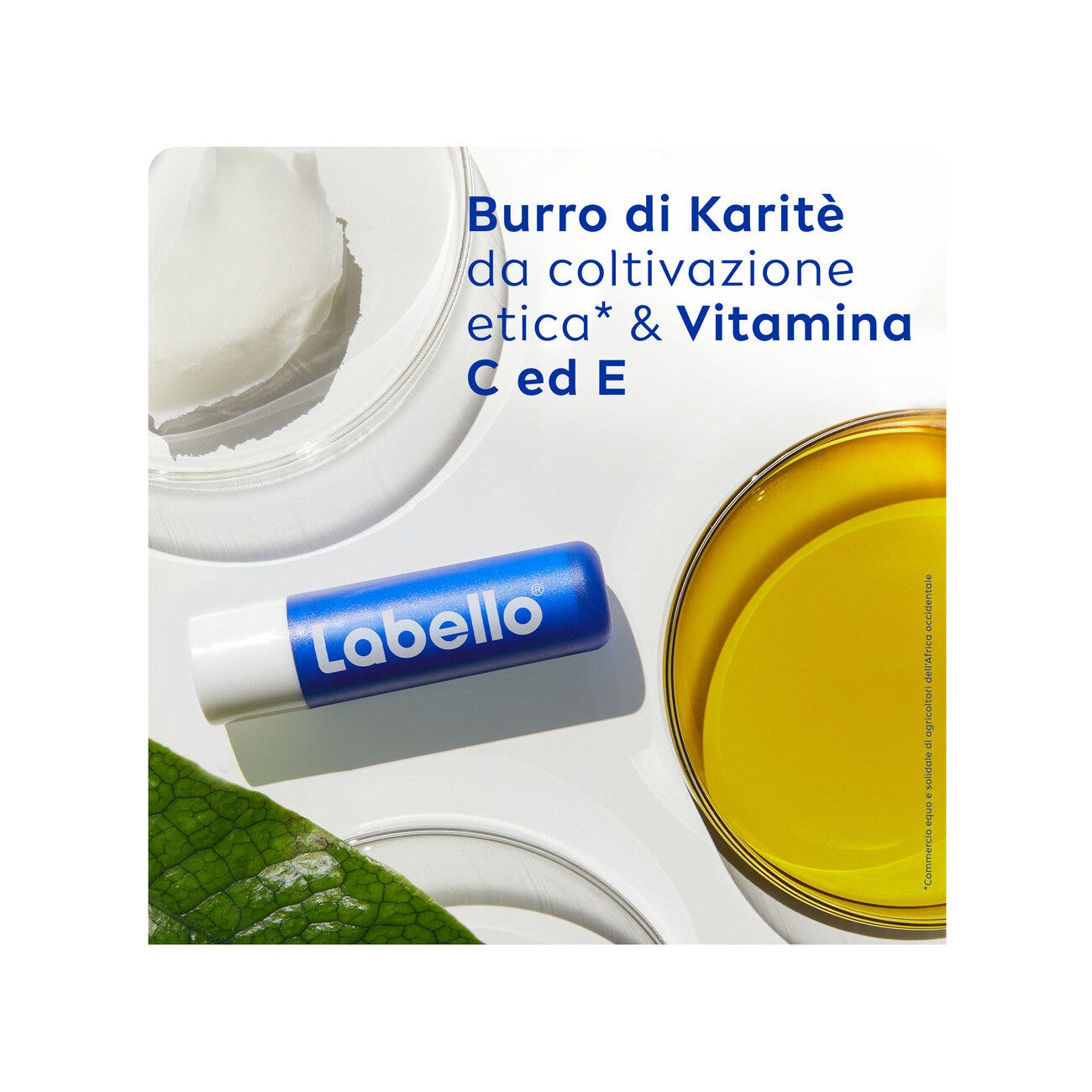 RENAL BEN 50ML