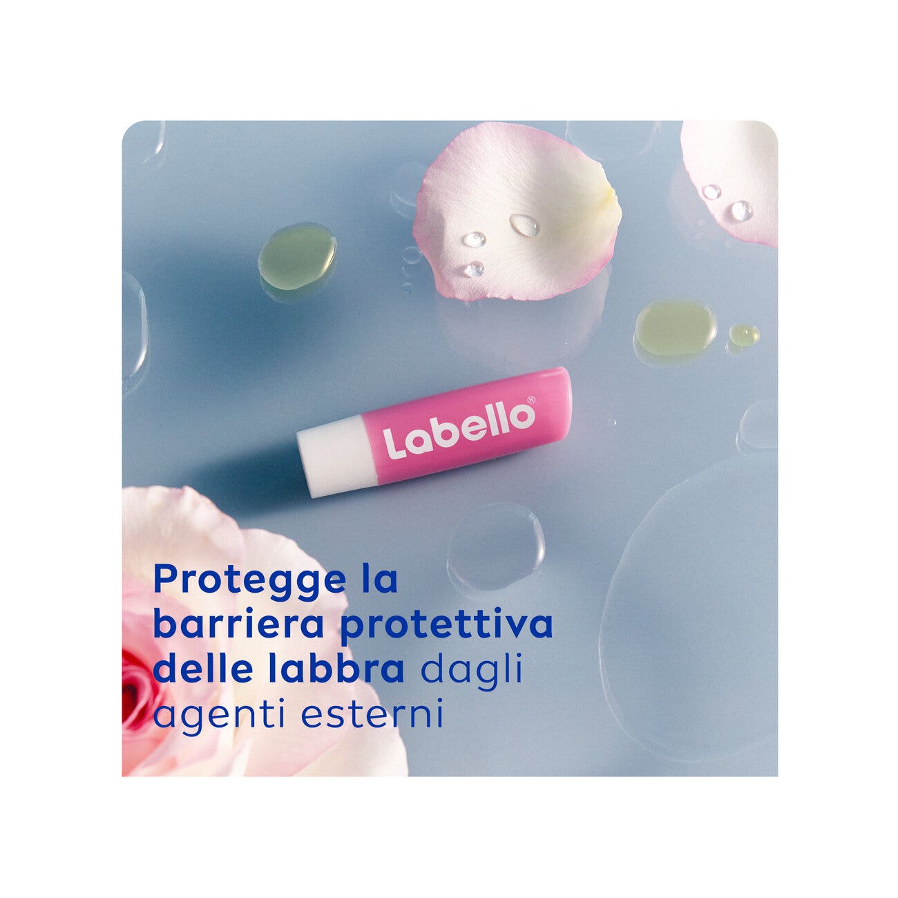 Cora Ben 50 ml